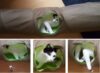 Kermit and Tunnel Games Kermit and Tunnel Games