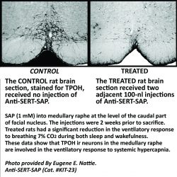 Serotonin Products BOGO catalog