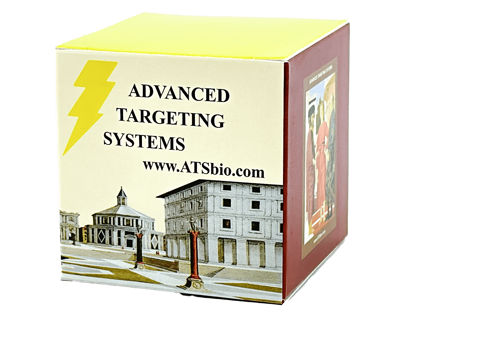 BiotinZ Internalization Kit Introduction Advanced Targeting Systems