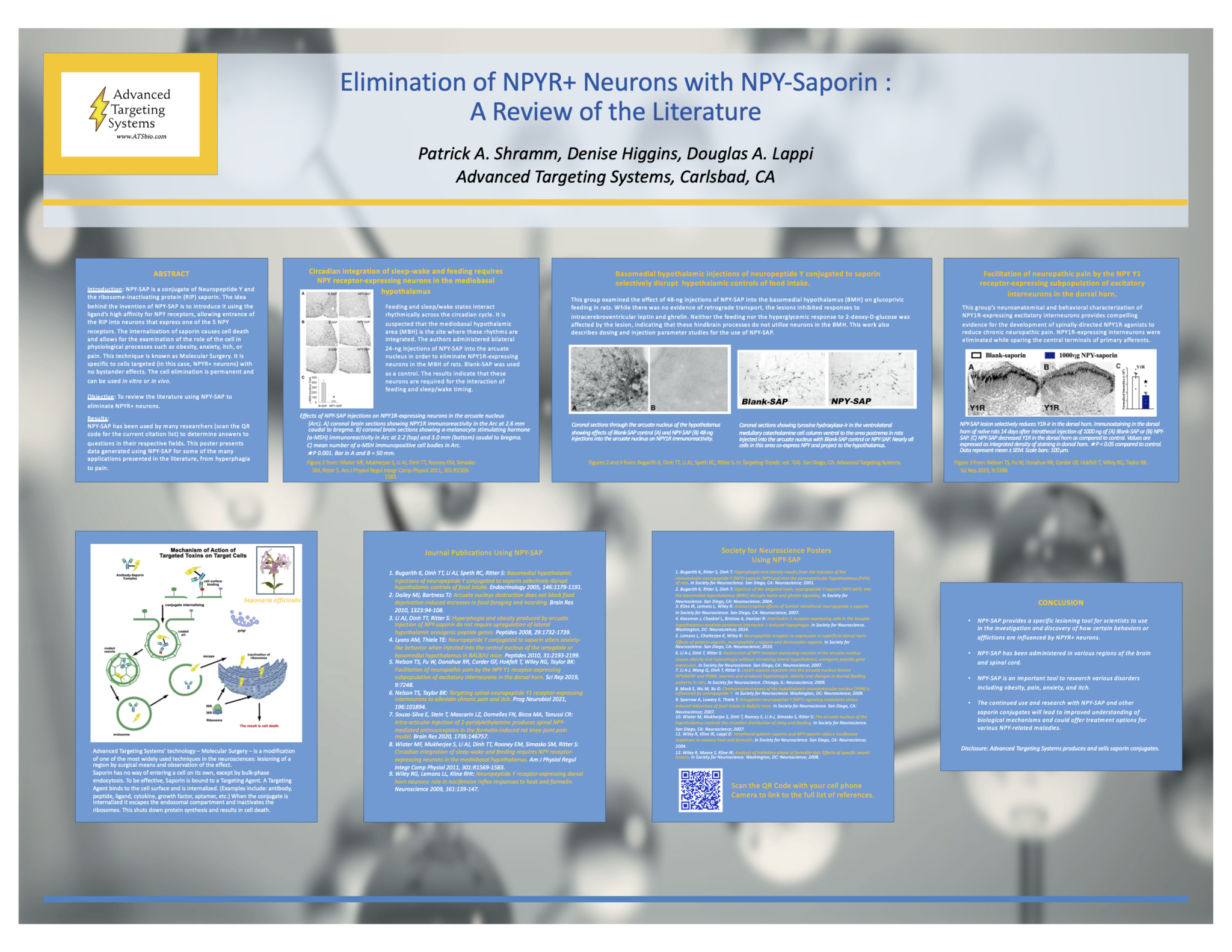 Elimination of NPYR+ Neurons with NPYSaporin A Review of the