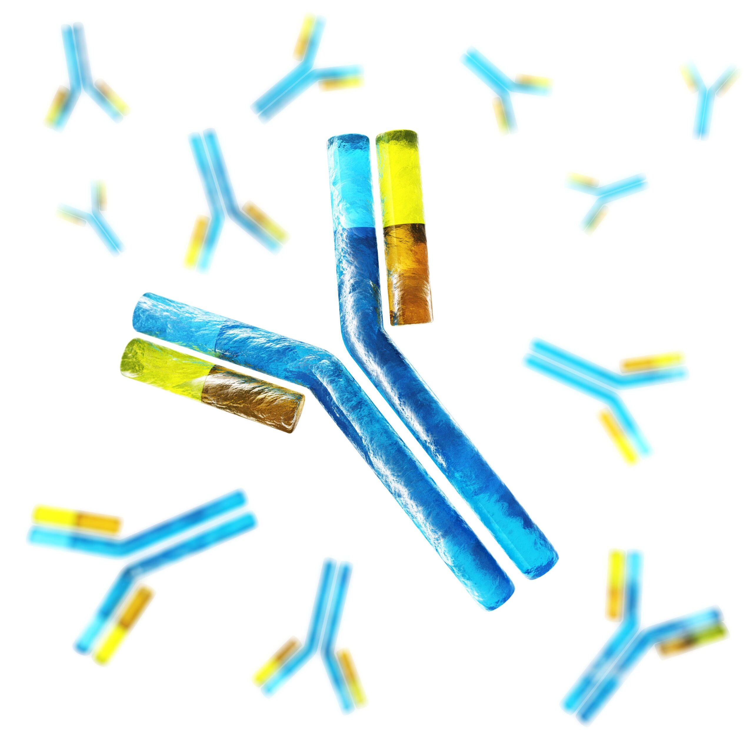 Secondary Antibodies