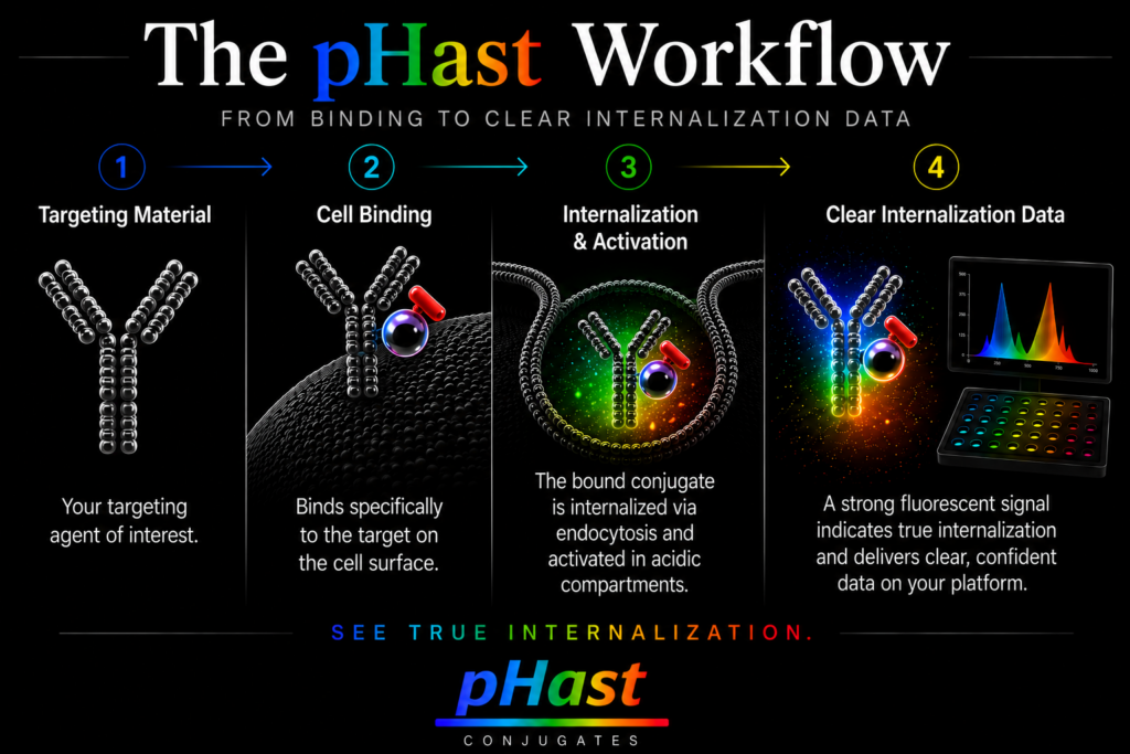 The pHast Workflow